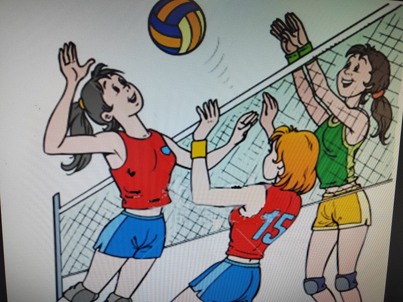 Кружок «Волейбол» физкультурно-спортивной направленности.